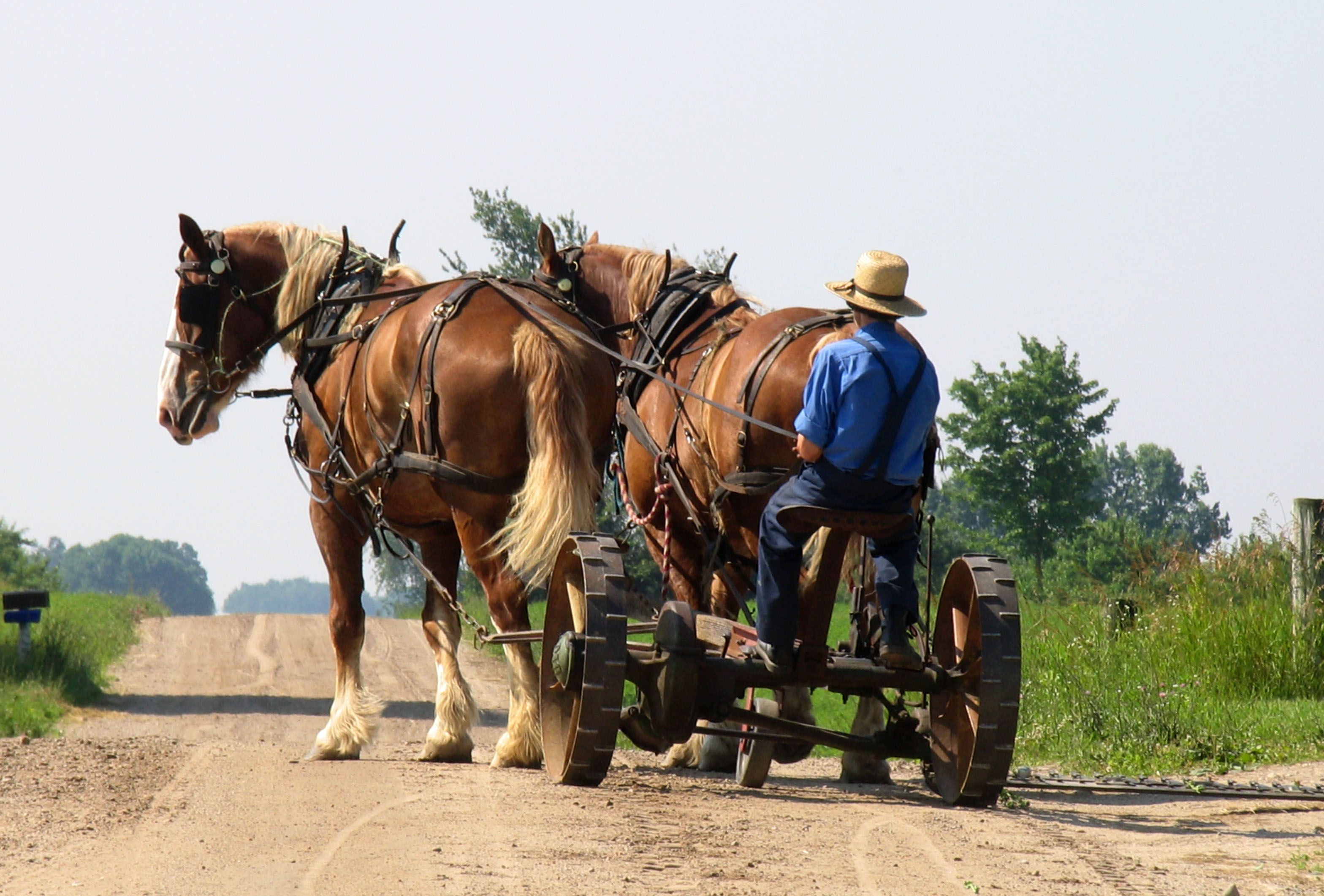 Amish Country Cruisin’ | Great Lakes Gazette
